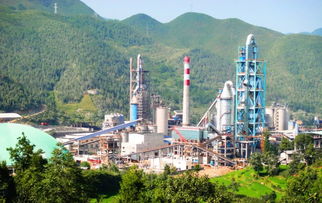 華新先進(jìn)基層黨組織巡禮 萬源公司 迪慶公司 大冶公司