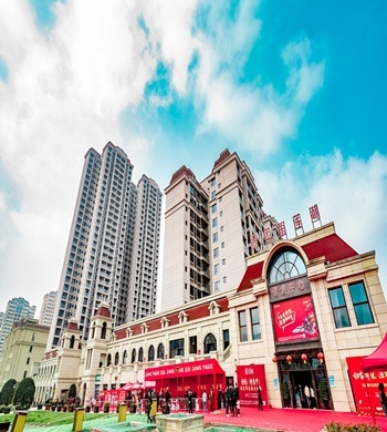 四川鼎能房地產開發(fā)