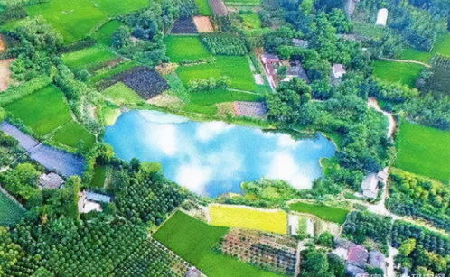 23億負債壓頂，22年老牌房企申請破產！阜陽房企承壓，四川地產亦現隱憂