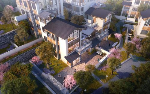 歸原小鎮產品發布會首秀驚艷山城，仙女山度假房地產迎來震撼盛會